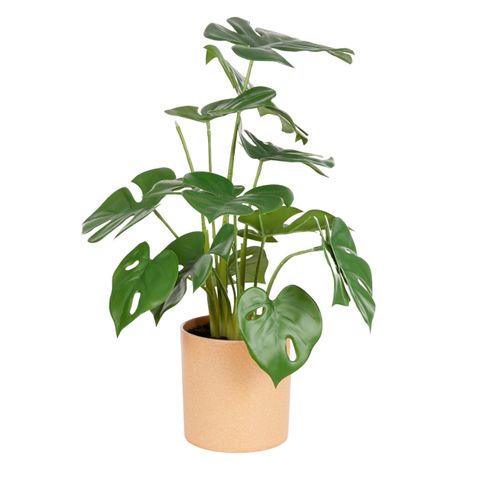 Monstera Real Touch 38cm in Pot