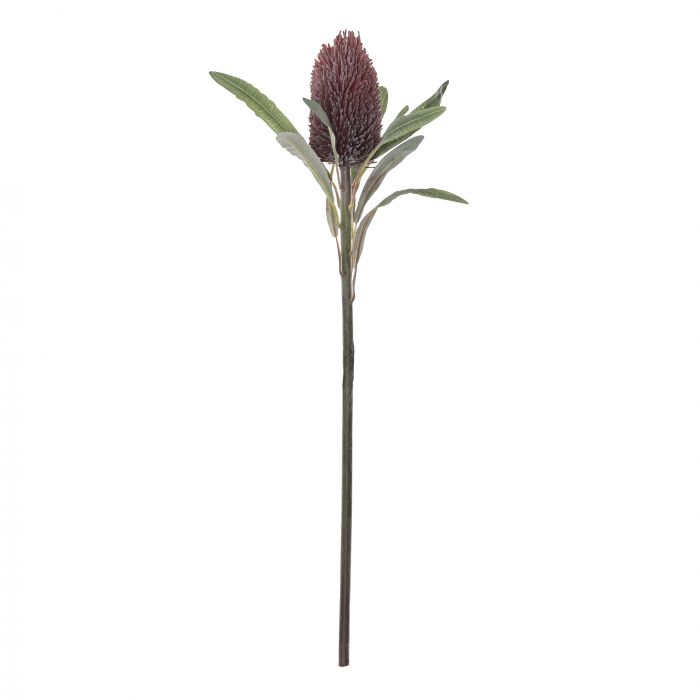 Dried Look Banksia Cone Stem (Red)